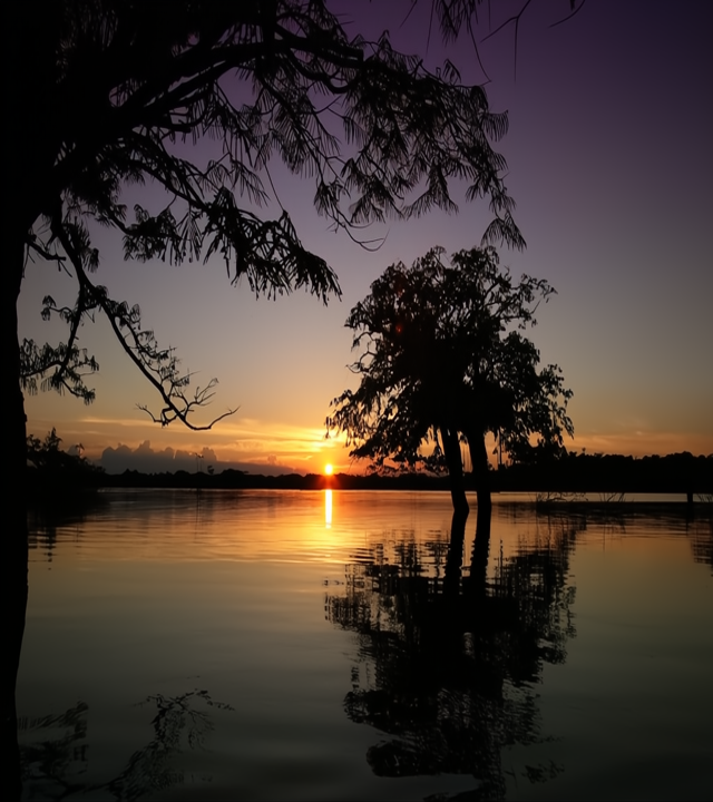 imagen-lago-noche